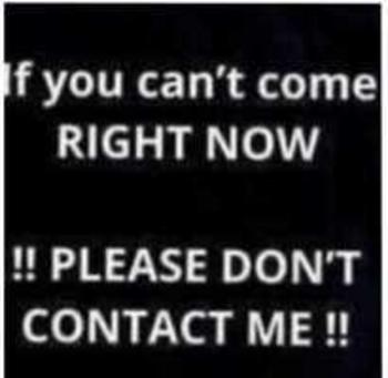 2522742089, female escort, Raleigh