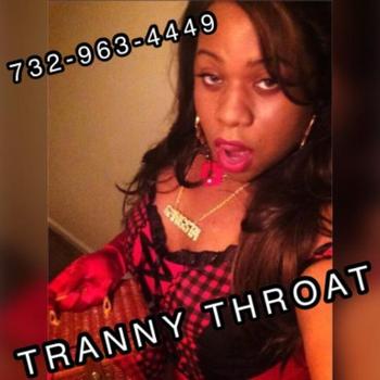 7329634449, female escort, Raleigh
