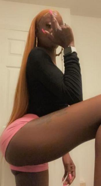 9195042103, female escort, Raleigh