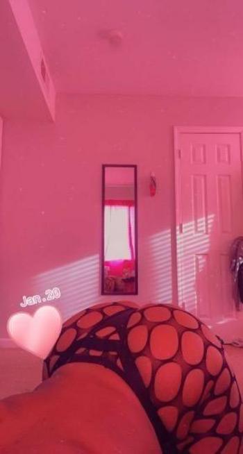 4245881858, female escort, Raleigh